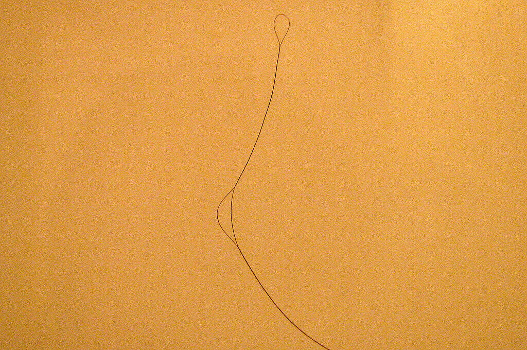 photo of hair on a shower wall