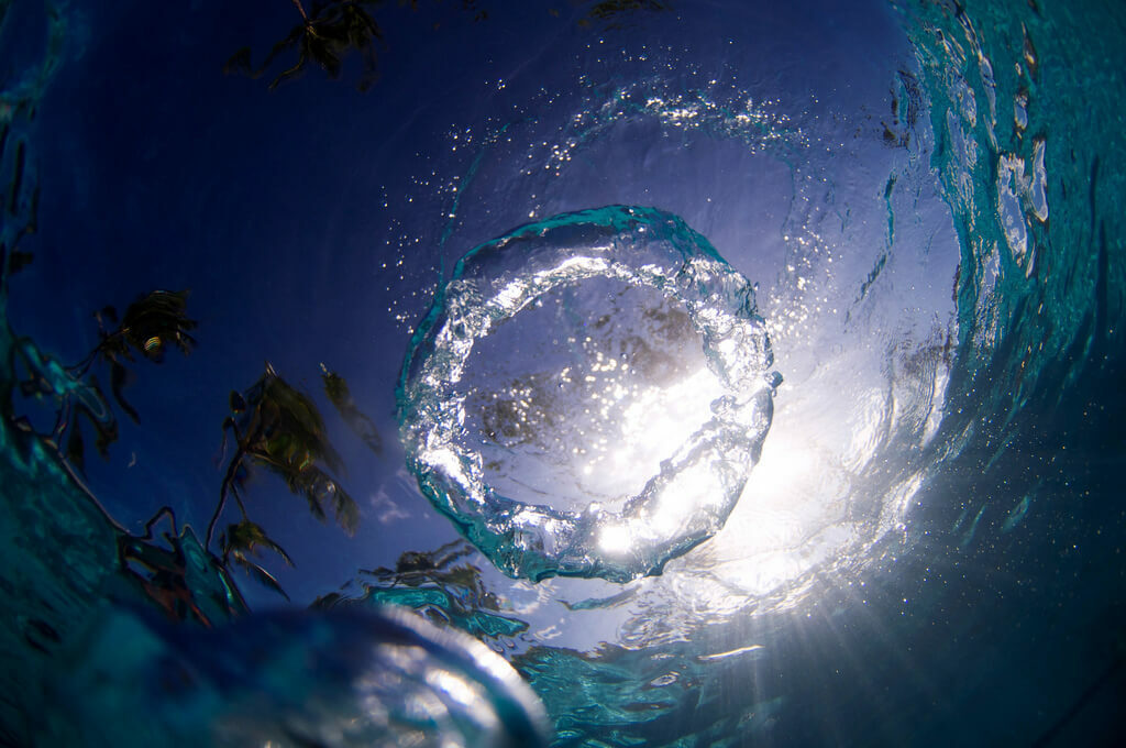 photo taken underwater looking up at sky and palm trees