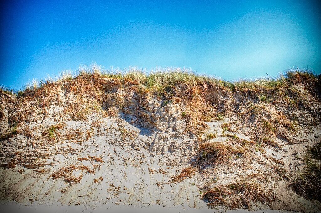 Dune at beach under a blue sky