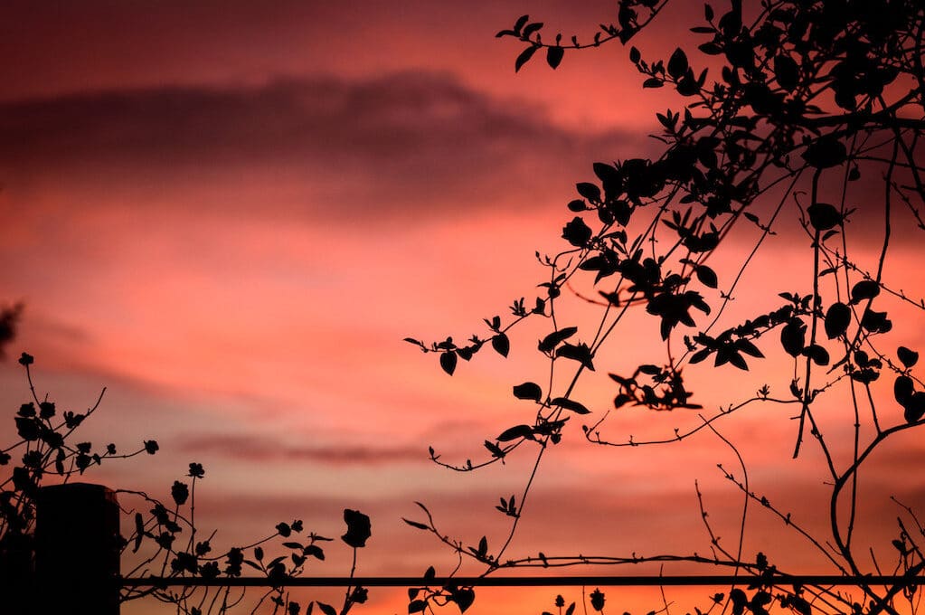 photo of pink evening sky