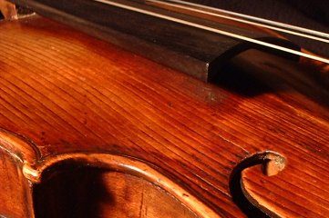 photo of violin