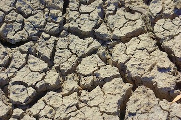 photo of dry river bed