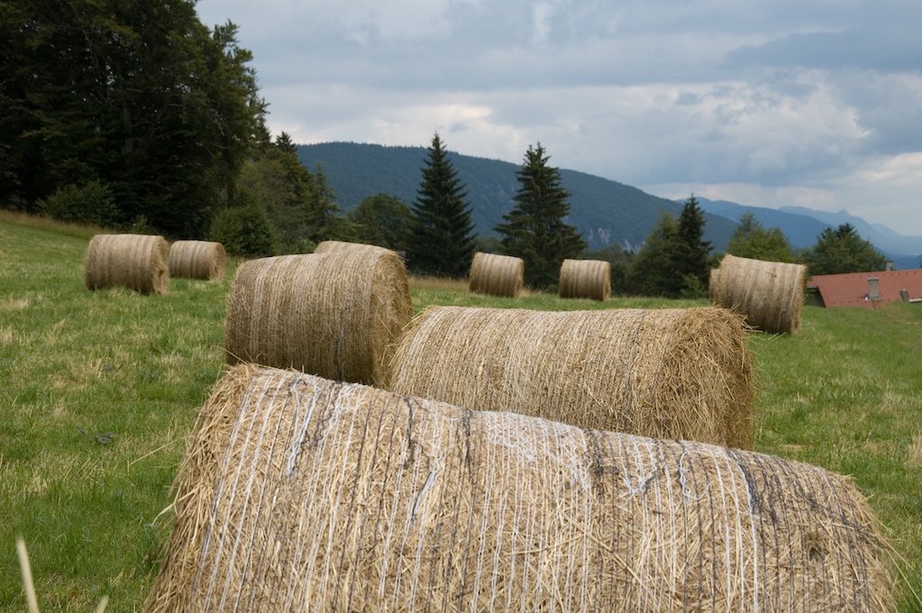 photo of hay bales