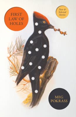 FIRST LAW OF HOLES book cover