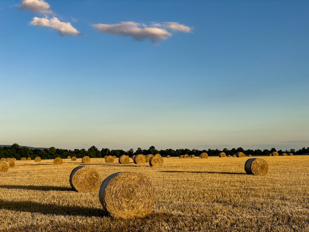 photo of a field with hay bales in the middle of it