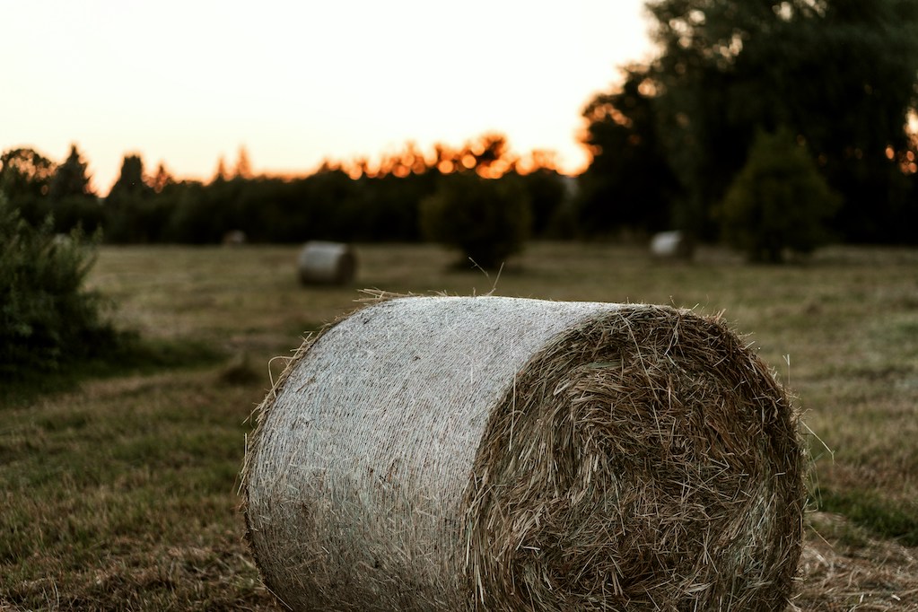 photo of hay bales